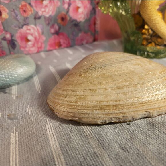 DECOUPAGE CLAM SHELL DECOUPAGE TRINKET DISH CHRISTMAS TREES - Picture 11 of 12